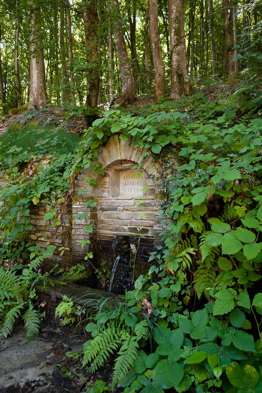  Varvara vodopadi blizu Olimpijade 